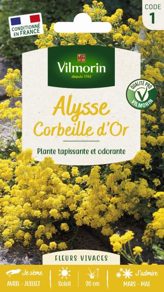 Fleurs - Alysse Corbeille d'Or - PACKAGING_RECTO